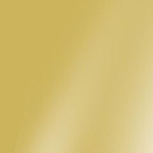 Вкладыш для медали 25мм (шампань мат SU05) (10)